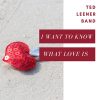 Ted Leener Band mais tocadas 2026