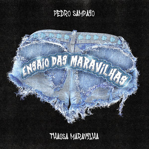 Playlists – Thaysa Maravilha Mais Tocadas Thaysa Maravilha mais tocadas 2026