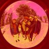 Playlists – The Texas Gentlemen Mais Tocadas The Texas Gentlemen mais tocadas 2026