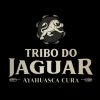 Tribo Do Jaguar mais tocadas 2026