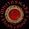 Whitesnake mais tocadas 2026